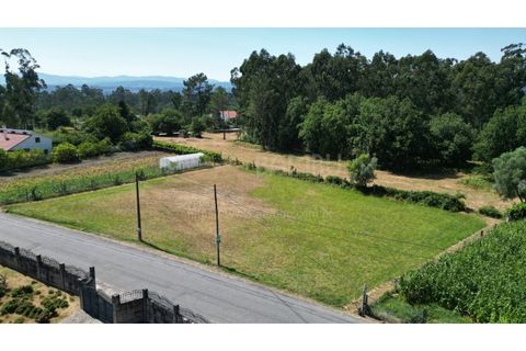 Helårsgrund i Gandra e Taiao, Viana do Castelo, Gandra e Taiao - € 59.000 | Ref: B3303 - foto 3
