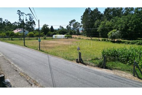 Helårsgrund i Gandra e Taiao, Viana do Castelo, Gandra e Taiao - € 59.000 | Ref: B3303 - foto 4