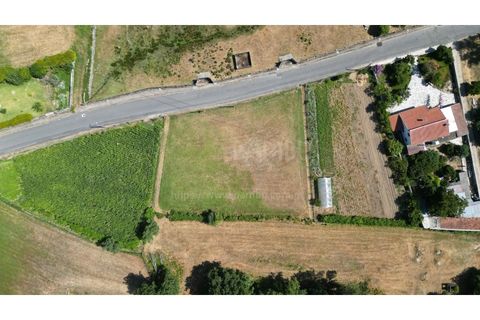 Helårsgrund i Gandra e Taiao, Viana do Castelo, Gandra e Taiao - € 59.000 | Ref: B3303 - foto 6