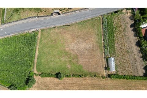 Helårsgrund i Gandra e Taiao, Viana do Castelo, Gandra e Taiao - € 59.000 | Ref: B3303 - foto 7