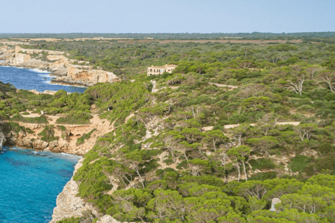 Stadthaus in Santanyi, Mallorca, Santanyi - € 3.480.000 | Ref: FALC-StBa-87346 - Foto 35