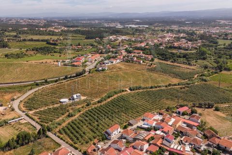 Gård i Anadia, Aveiro, Anadia - € 1 000 000 | Ref: LUX_CB-01524 - foto 10