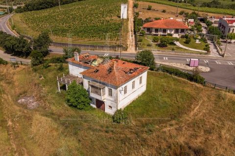 Gård i Anadia, Aveiro, Anadia - € 1 000 000 | Ref: LUX_CB-01524 - foto 12