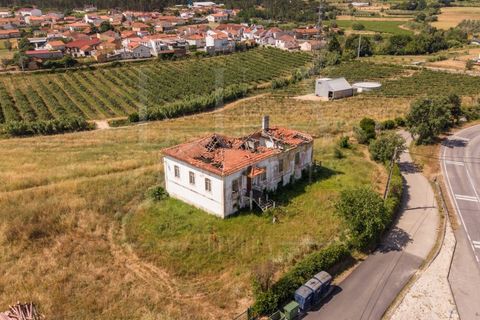 Gård i Anadia, Aveiro, Anadia - € 1 000 000 | Ref: LUX_CB-01524 - foto 13