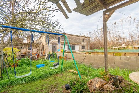 Landejendom i Sa Pobla, Mallorca, Sa Pobla - € 460.000 | Ref: EXP14802/8930 - foto 3