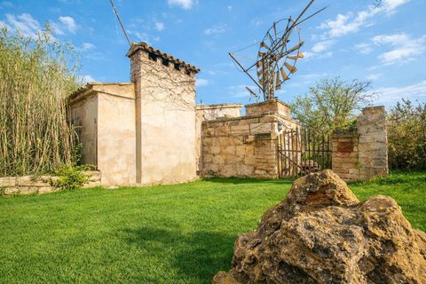 Landejendom i Sa Pobla, Mallorca, Sa Pobla - € 460.000 | Ref: EXP14802/8930 - foto 4