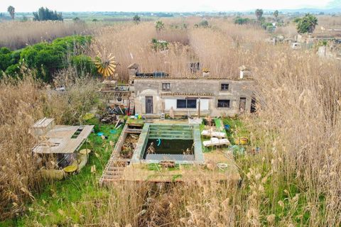Landejendom i Sa Pobla, Mallorca, Sa Pobla - € 460.000 | Ref: EXP14802/8930 - foto 6
