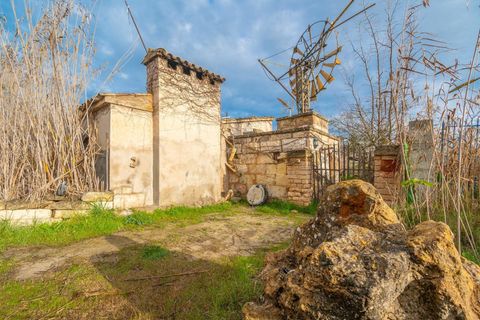 Landejendom i Sa Pobla, Mallorca, Sa Pobla - € 460.000 | Ref: EXP14802/8930 - foto 7