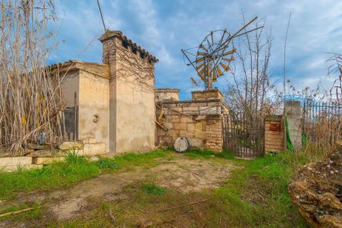 Landejendom i Sa Pobla, Mallorca, Sa Pobla - € 460.000 | Ref: EXP14802/8930 - foto 9