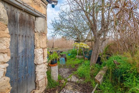 Landejendom i Sa Pobla, Mallorca, Sa Pobla - € 460.000 | Ref: EXP14802/8930 - foto 10