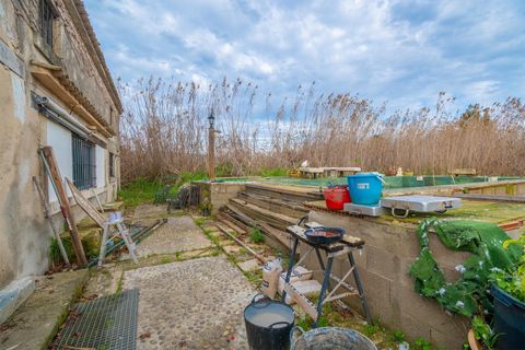Landejendom i Sa Pobla, Mallorca, Sa Pobla - € 460.000 | Ref: EXP14802/8930 - foto 12