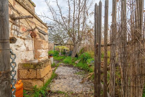 Landejendom i Sa Pobla, Mallorca, Sa Pobla - € 460.000 | Ref: EXP14802/8930 - foto 13