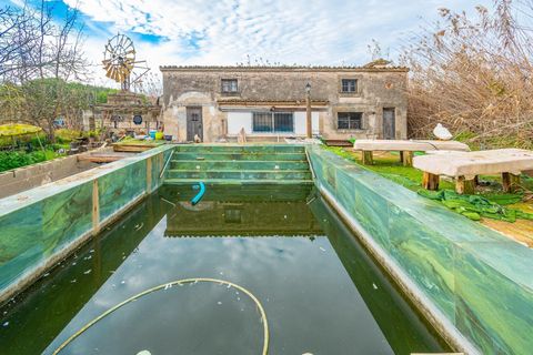 Landejendom i Sa Pobla, Mallorca, Sa Pobla - € 460.000 | Ref: EXP14802/8930 - foto 14