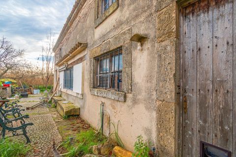 Landejendom i Sa Pobla, Mallorca, Sa Pobla - € 460.000 | Ref: EXP14802/8930 - foto 15