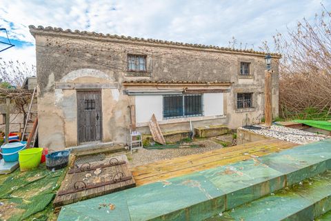 Landejendom i Sa Pobla, Mallorca, Sa Pobla - € 460.000 | Ref: EXP14802/8930 - foto 17