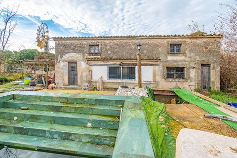 Landejendom i Sa Pobla, Mallorca, Sa Pobla - € 460.000 | Ref: EXP14802/8930 - foto 18