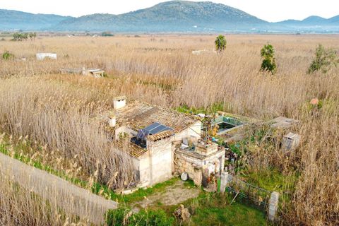 Landejendom i Sa Pobla, Mallorca, Sa Pobla - € 460.000 | Ref: EXP14802/8930 - foto 24