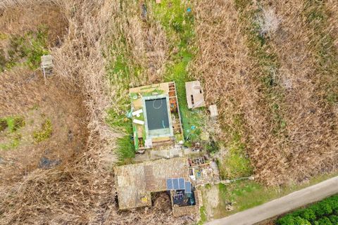 Landejendom i Sa Pobla, Mallorca, Sa Pobla - € 460.000 | Ref: EXP14802/8930 - foto 26