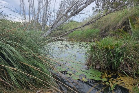 Helårsgrund i Amposta, Tarragona, Amposta - € 94.500 | Ref: EXP15021/8930 - foto 2