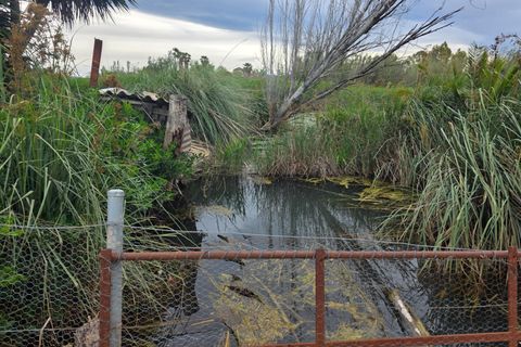 Helårsgrund i Amposta, Tarragona, Amposta - € 94.500 | Ref: EXP15021/8930 - foto 3