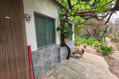 Helårsgrund i Amposta, Tarragona, Amposta - € 94.500 | Ref: EXP15021/8930 - foto 19