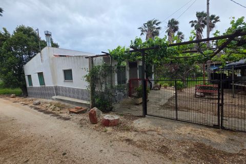 Helårsgrund i Amposta, Tarragona, Amposta - € 94.500 | Ref: EXP15021/8930 - foto 20