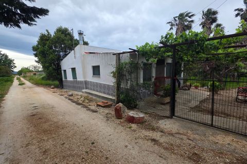 Helårsgrund i Amposta, Tarragona, Amposta - € 94.500 | Ref: EXP15021/8930 - foto 21