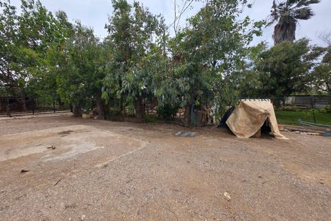 Helårsgrund i Amposta, Tarragona, Amposta - € 94.500 | Ref: EXP15021/8930 - foto 23