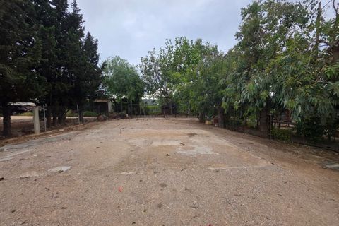 Helårsgrund i Amposta, Tarragona, Amposta - € 94.500 | Ref: EXP15021/8930 - foto 24