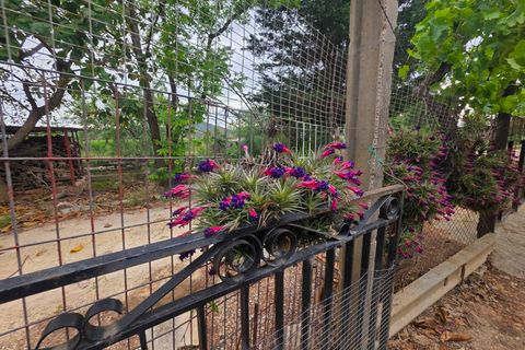 Helårsgrund i Amposta, Tarragona, Amposta - € 94.500 | Ref: EXP15021/8930 - foto 27
