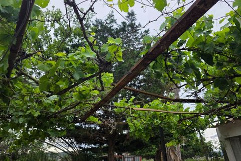 Helårsgrund i Amposta, Tarragona, Amposta - € 94.500 | Ref: EXP15021/8930 - foto 28
