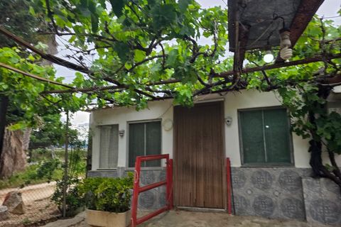 Helårsgrund i Amposta, Tarragona, Amposta - € 94.500 | Ref: EXP15021/8930 - foto 29