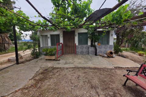 Helårsgrund i Amposta, Tarragona, Amposta - € 94.500 | Ref: EXP15021/8930 - foto 30