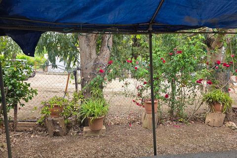 Helårsgrund i Amposta, Tarragona, Amposta - € 94.500 | Ref: EXP15021/8930 - foto 31