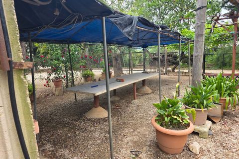 Helårsgrund i Amposta, Tarragona, Amposta - € 94.500 | Ref: EXP15021/8930 - foto 33