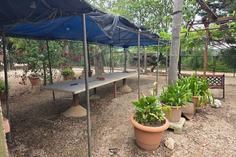 Helårsgrund i Amposta, Tarragona, Amposta - € 94.500 | Ref: EXP15021/8930 - foto 34