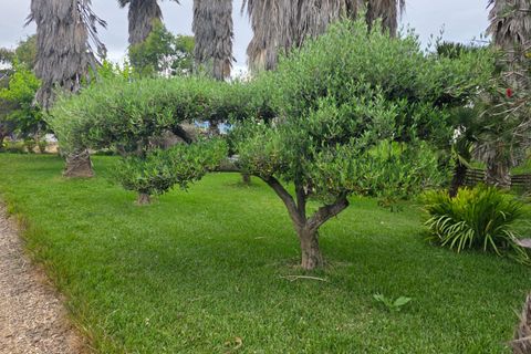 Helårsgrund i Amposta, Tarragona, Amposta - € 94.500 | Ref: EXP15021/8930 - foto 38