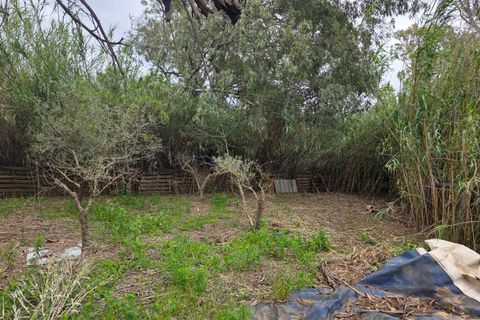 Helårsgrund i Amposta, Tarragona, Amposta - € 94.500 | Ref: EXP15021/8930 - foto 39