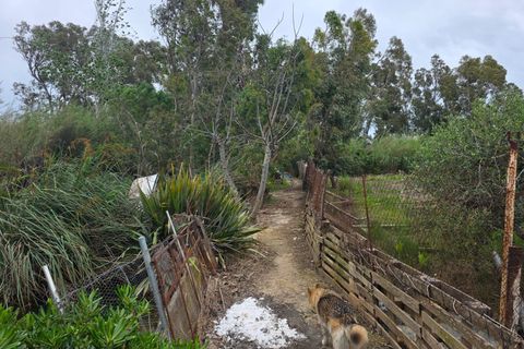 Helårsgrund i Amposta, Tarragona, Amposta - € 94.500 | Ref: EXP15021/8930 - foto 41