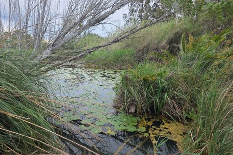 Helårsgrund i Amposta, Tarragona, Amposta - € 94.500 | Ref: EXP15021/8930 - foto 43