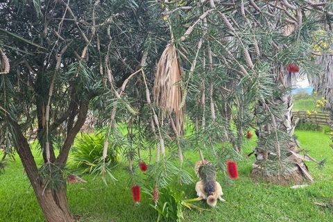 Helårsgrund i Amposta, Tarragona, Amposta - € 94.500 | Ref: EXP15021/8930 - foto 44