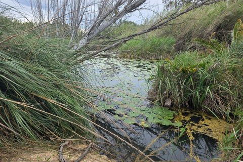 Helårsgrund i Amposta, Tarragona, Amposta - € 94.500 | Ref: EXP15021/8930 - foto 46