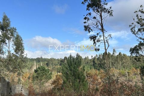 Grond in Lousa, Coimbra, Lousa - € 39.000 | Ref: TRU_3010_FCOI - foto 5