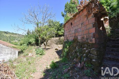 Casa de pueblo en Condeixa-a-Nova, Coimbra, Condeixa-a-Nova - € 50.000 | Ref: 969593 - photo 13