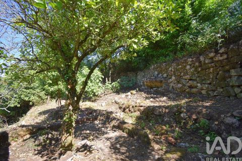 Casa de pueblo en Condeixa-a-Nova, Coimbra, Condeixa-a-Nova - € 50.000 | Ref: 969593 - photo 16