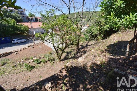 Casa de pueblo en Condeixa-a-Nova, Coimbra, Condeixa-a-Nova - € 50.000 | Ref: 969593 - photo 21