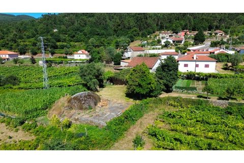 Villa i Ponte de Lima, Viana do Castelo, Ponte de Lima - € 115 000 | Ref: V516 - foto 3