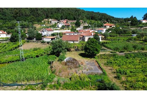 Villa i Ponte de Lima, Viana do Castelo, Ponte de Lima - € 115 000 | Ref: V516 - foto 4