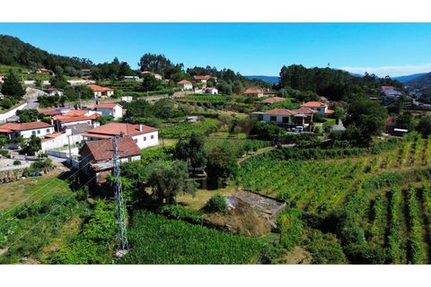 Villa i Ponte de Lima, Viana do Castelo, Ponte de Lima - € 115 000 | Ref: V516 - foto 5