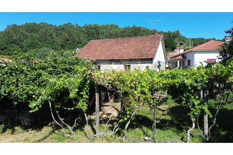 Villa i Ponte de Lima, Viana do Castelo, Ponte de Lima - € 115 000 | Ref: V516 - foto 21